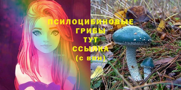 сатива Киренск