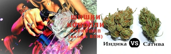 прущие грибы Краснослободск
