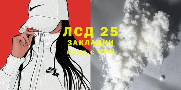 прущие грибы Краснослободск
