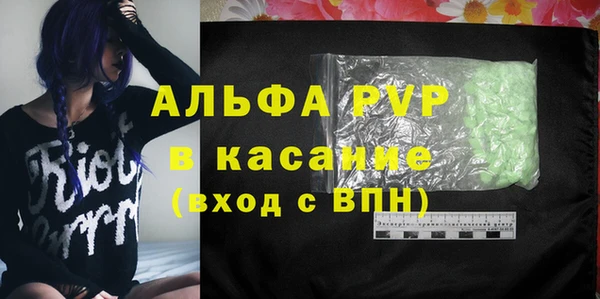 СК Коряжма