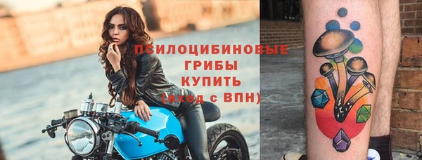 СК Коряжма