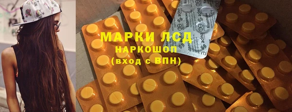 СК Коряжма